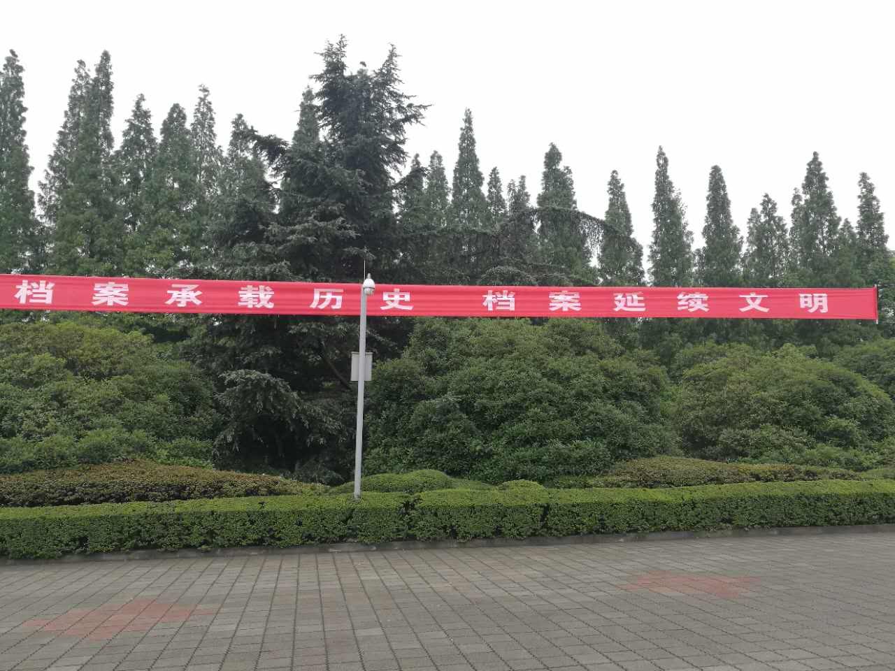 10.jpg 10.jpg