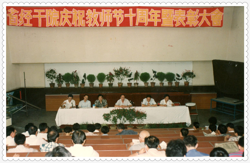 1994省经干院庆祝教师节十周年暨表彰大会