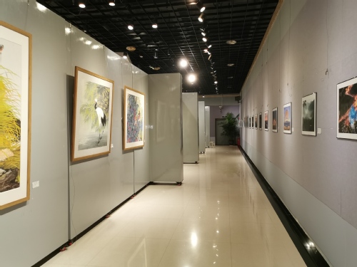 展厅场景